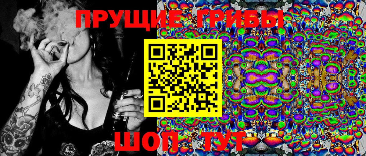 Галлюциногенные грибы Cubensis Сегежа